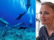 Polynésie : « Si on continue ainsi, on risque le point de non-retour » : l’alerte de Pamela Carzon, docteur en biologie marine et présidente de l’association Dauphins de Rangiroa, sur le tourisme de plongée sous-marine