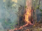 Brûlis illégaux et cyclone, un terrain propice pour les feux à Mayotte