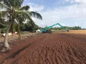 Aux Antilles, mobilisation accrue contre les arrivages massifs de sargasses