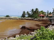 Sargasses en Guadeloupe : Le seuil d'alerte au sulfure d'hydrogène dépassé à Capesterre de Marie-Galante, plages et boulevard maritime fermés