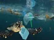 Planète : Pas de traité contre la pollution plastique à Genève