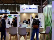 Les start-ups à La Réunion : Écosystème « en construction », ces structures sont « jeunes, enthousiastes, mais fragiles »