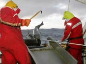 Pêche à la légine australe dans les TAAF : 8 candidats retenus pour la campagne 2025-2028
