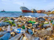 Traité mondial contre la pollution plastique : Les discussions volent en éclat à Genève
