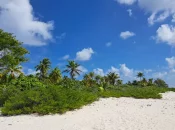 Tourisme en Outre-mer : près de 4,5 millions de passagers en 2024, selon Atout France