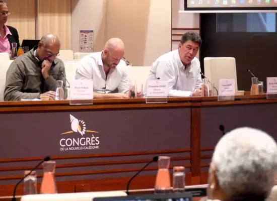 Nouvelle-Calédonie : le plan de réformes du gouvernement adopté au Congrès dans la douleur
