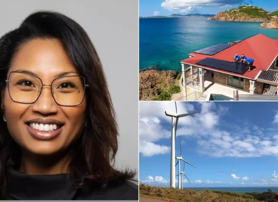 EXPERTISE.  Énergie en Outre-mer : enjeux d’un service public sous contrainte