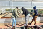 Des élèves du lycée agricole de Mayotte en voyage Erasmus+ en Autriche