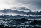 La Polynésie française à l’honneur de l’édition 2025 du Ocean Photographer of the Year