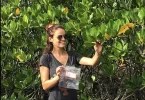 Mangroves : Les chercheurs de l’UNC Sarah Robin et Cyril Marchand ont collaboré dans une étude internationale révélant des différences dans le stockage du carbone bleu