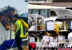 Une première en Polynésie : 24 chevaux et poneys livrés par avion