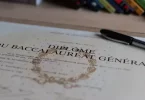 Une élève, originaire de l'île de la Grenade, a obtenu le bac à 9 ans, un record selon le ministère de l'Education nationale