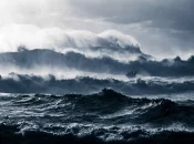 La Polynésie française à l’honneur de l’édition 2025 du Ocean Photographer of the Year