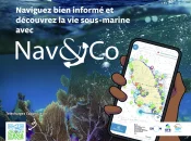 Innovation en Outre-mer: L’application Nav & Co, nouvel outil pour naviguer en toute sécurité et en respect des écosystèmes marins en Martinique