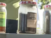 Agriculture en Nouvelle-Calédonie : Des tests de fertilisation organique menés sur des parcelles de maïs