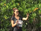 Mangroves : Les chercheurs de l’UNC Sarah Robin et Cyril Marchand ont collaboré dans une étude internationale révélant des différences dans le stockage du carbone bleu