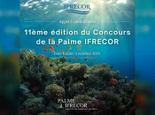 L’Initiative française pour les récifs coralliens lance le concours de la « 11ème édition de la Palme Ifrecor »