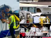 Une première en Polynésie : 24 chevaux et poneys livrés par avion
