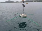 Énergies : Albioma obtient un permis exclusif de recherches de gîtes géothermiques à Mayotte