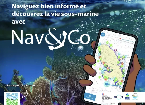 Innovation en Outre-mer: L’application Nav & Co, nouvel outil pour naviguer en toute sécurité et en respect des écosystèmes marins en Martinique