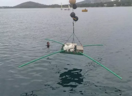 Énergies : Albioma obtient un permis exclusif de recherches de gîtes géothermiques à Mayotte