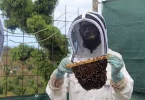 Agriculture : À Mayotte, un miel raffiné au service de la nature
