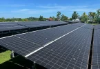Guyane : Une nouvelle centrale solaire pour accélérer la transition énergétique à Maripasoula