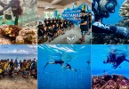 Polynésie : 41 candidatures pour les Trophées TO’A Reef 2025 organisées par l’Ifrecor