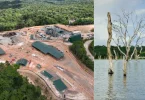 Guyane : Voltalia et Triton Timber inaugurent le Pôle Scierie et Énergie du lac de Petit Saut à Sinnamary