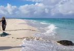 Biodiversité des Outre-mer : 32 projets retenus pour les appels à projets TeMeUm 2025