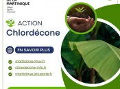 Martinique : Dix-neuf lauréats retenus pour renforcer la lutte contre la chlordécone dévoilés par la Préfecture et l'ARS