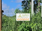 Guyane : L’EPFA Guyane accélère le transfert des activités agricoles à la SAFER Guyane