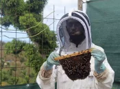 Agriculture : À Mayotte, un miel raffiné au service de la nature