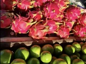 En Guyane, l'agriculture biologique progresse