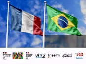 Lancement de la Plateforme de Recherche Internationale en Santé Mondiale France-Brésil (PRISME)