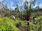 DOSSIER [4/5]. Mayotte post-Chido : Reconstruire sans oublier l’environnement