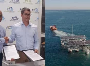 Martinique : SolarinBlue et le Grand Port Maritime lancent un projet de solaire flottant en mer
