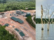 Guyane : Voltalia et Triton Timber inaugurent le Pôle Scierie et Énergie du lac de Petit Saut à Sinnamary