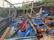 DOSSIER [1/5]. Mayotte post-Chido : Le combat quotidien continue pour les agriculteurs de l’île