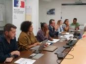 Saint-Martin : Création d'un comité de pilotage contre les sargasses