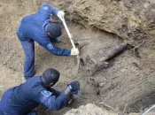 Aux Îles Salomon, les bombes de la Seconde Guerre mondiale continuent de tuer