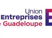 L'UDE-MEDEF Guadeloupe alerte sur les conséquences d'une réduction des dispositifs de soutien à l’emploi et à l’investissement