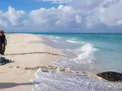 Biodiversité des Outre-mer : 32 projets retenus pour les appels à projets TeMeUm 2025