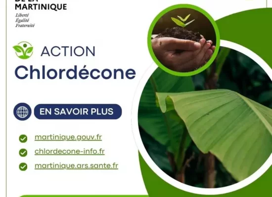 Martinique : Dix-neuf lauréats retenus pour renforcer la lutte contre la chlordécone dévoilés par la Préfecture et l'ARS