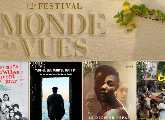 Plus d’une vingtaine de films au programme de la 12ème édition du Festival International du Film des Droits Humains –Monde en Vues- de Guadeloupe
