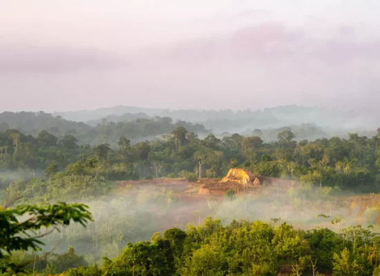 Guyane : Six pirogues destinées à l’orpaillage illégal interceptées par la Section de recherches de Cayenne