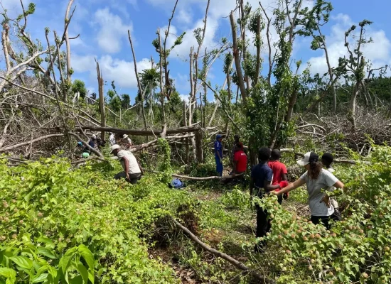 DOSSIER [4/5]. Mayotte post-Chido : Reconstruire sans oublier l’environnement