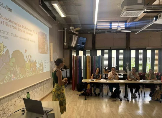 La Réunion : Sous l’impulsion de GIROFLÉE, La filière forêt-bois réunionnaise se structure, avec la présentation de Fibois Océan Indien