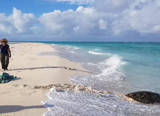 Biodiversité des Outre-mer : 32 projets retenus pour les appels à projets TeMeUm 2025