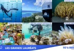 Palmarès des TO’A Reef 2025 : Le numérique et les traditions au service des récifs